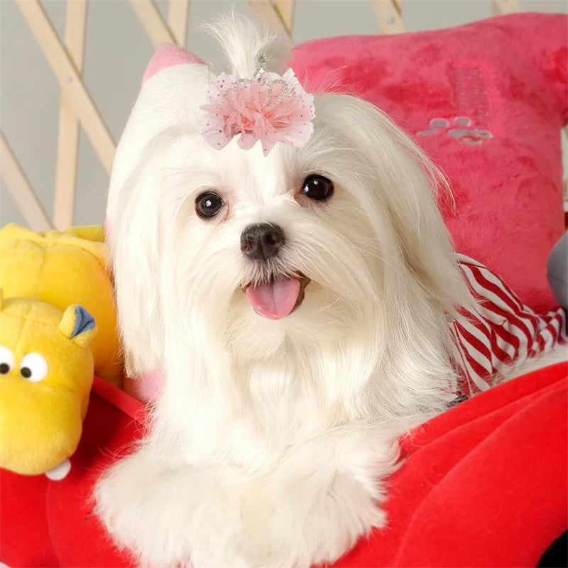 Dog Cat Pet Hair Clip Cute Lace Princess Crown Wedding Birthday Party Photography Decoration Pet Supplies New Year Gift