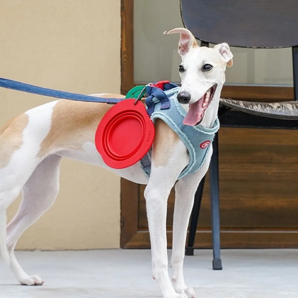 Convenient 350ML Pet Folding Bowl with Carabiner Hook Design Dog Collapsible Dishes Large Foldable Portable Cat Bowl Travel