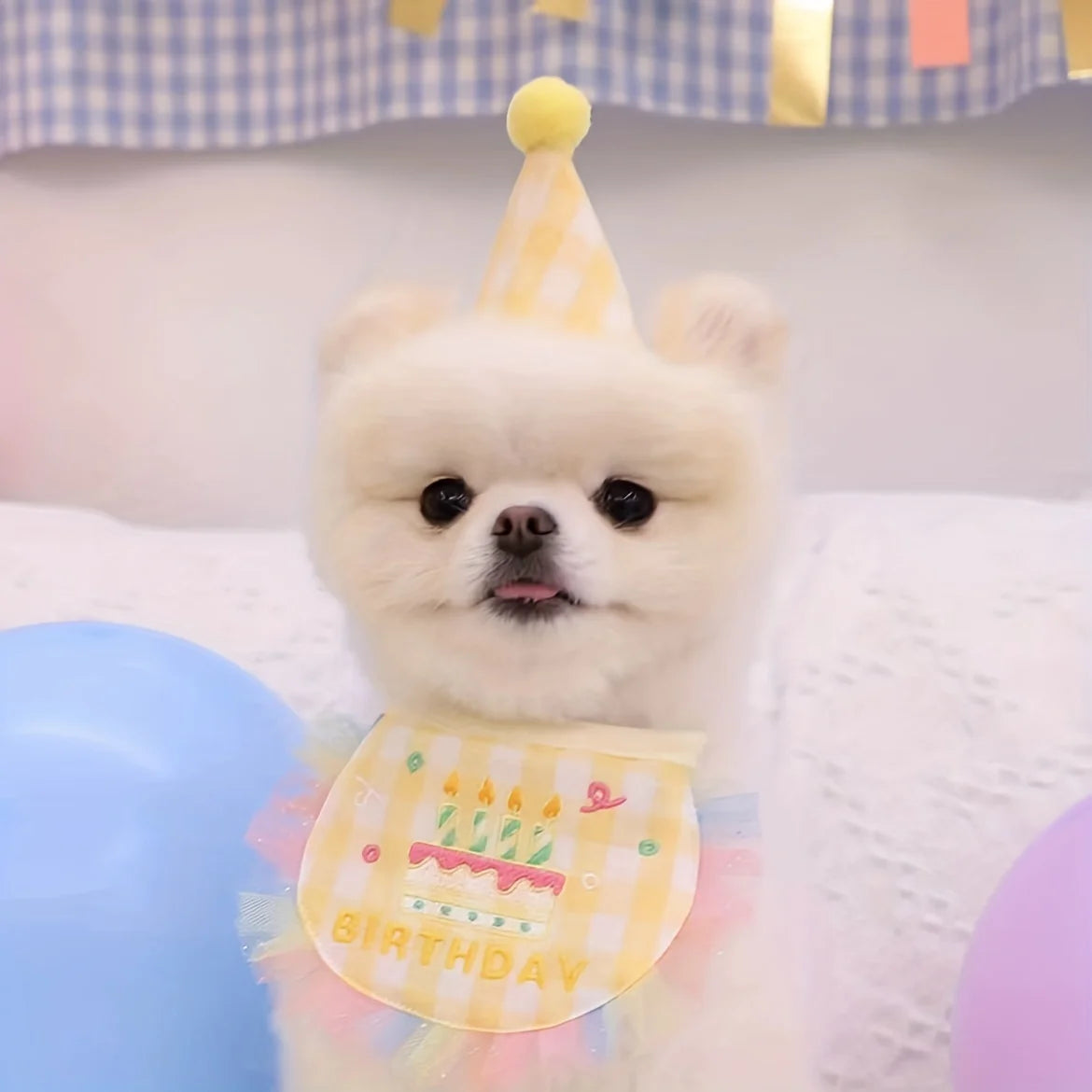 Dog & Cat Birthday Hat and Bandana Set – Cute Pet Birthday Accessories for Party & Photos