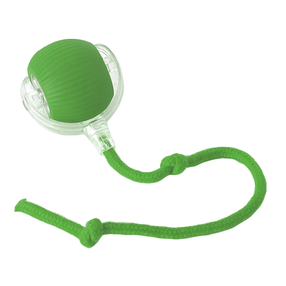 2PC/1PC Cat Interactive Ball Toys Automatic Rolling Ball Rechargeable Self Rotating Ball Fast Rolling Ball for Indoor Cat Kitten