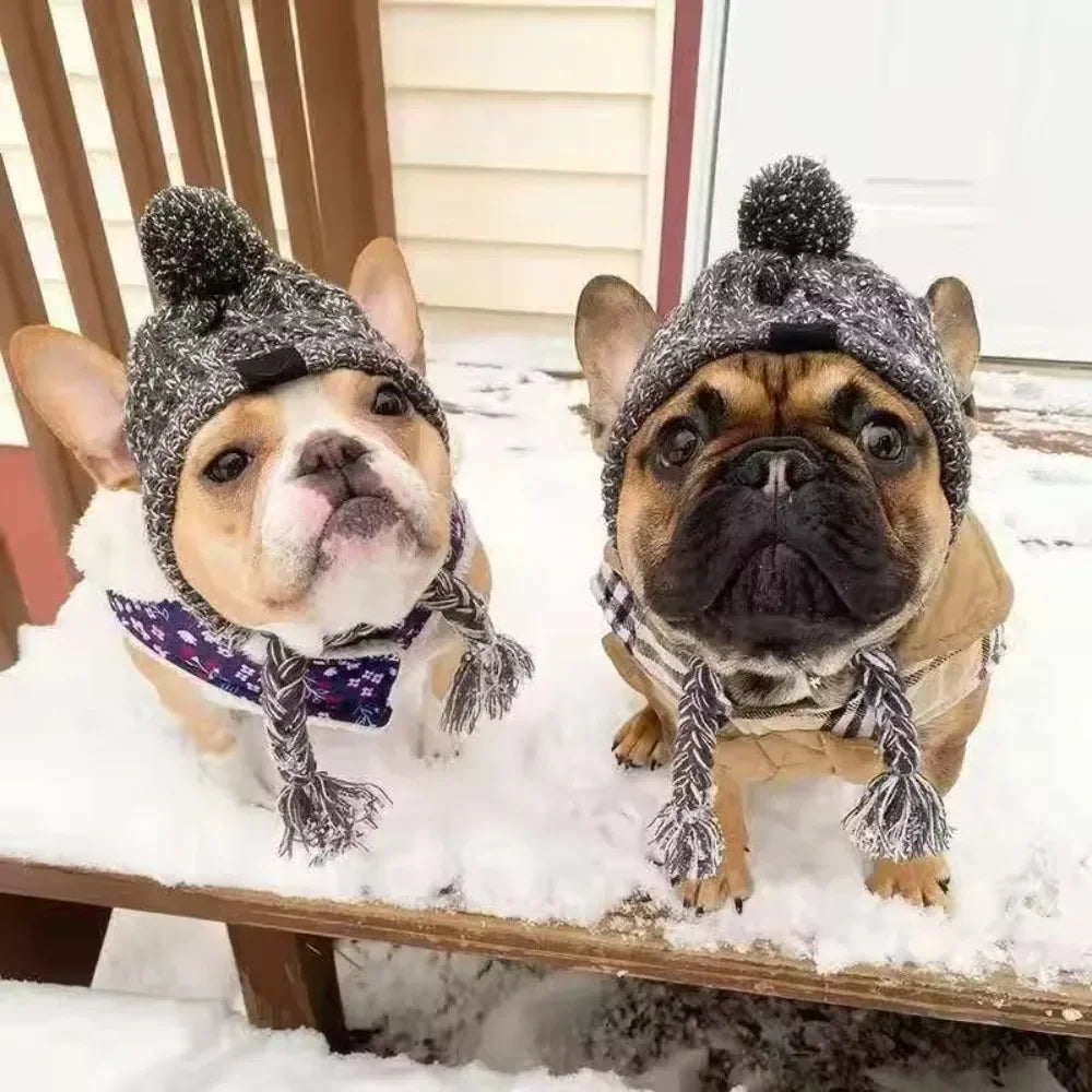 Winter Warm Dog Hats Windproof Knitting French Bulldog Hat Chihuahua Fluffy Ball Pet Hat Four Season Universal Puppy Accessories