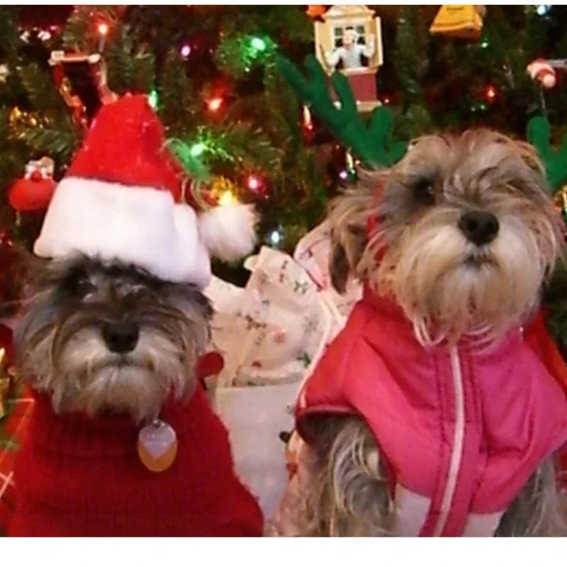 Christmas Pet Hat Santa Claus Hat for Cats Dogs Puppy Xmas Decoration New Year Party Supplies Pet Costume