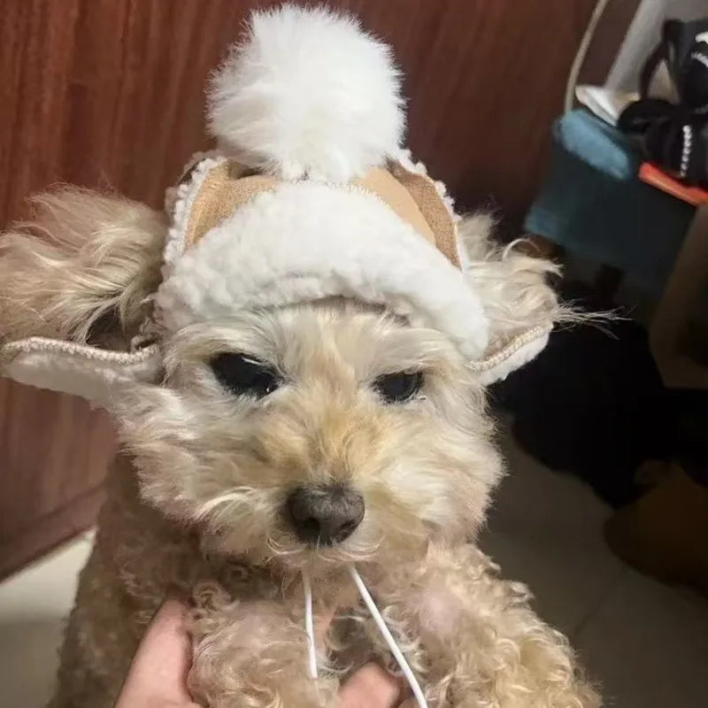 Pet Plush Warm Windproof Lamb Fur Pet Dog Hat Winter Cat Flying Hat Teddy Bear Hat Dog Accessories for Small Dog Cool