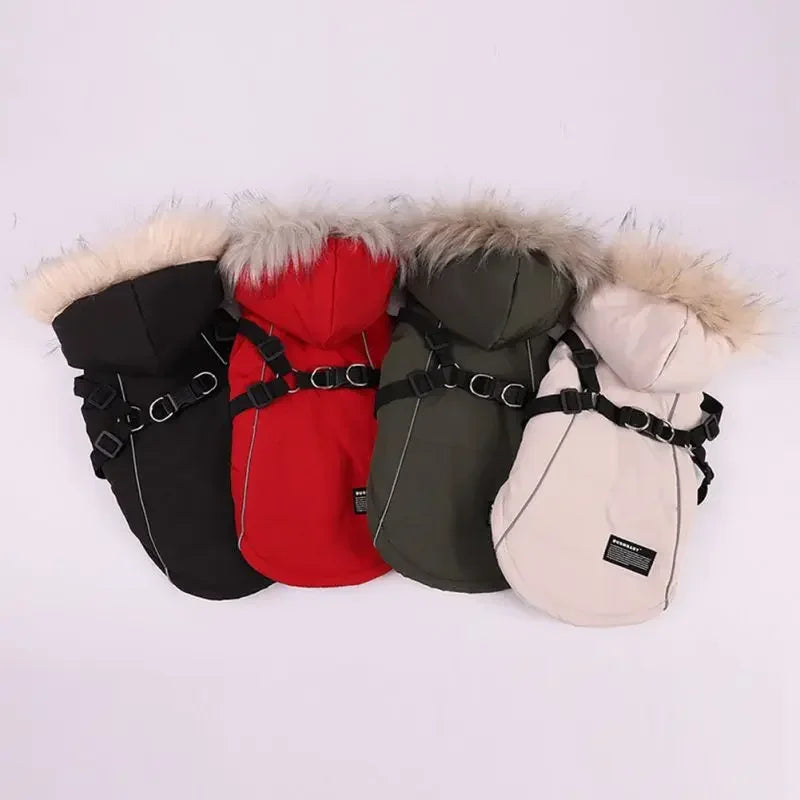 Winter Pet Dog Jacket With Harness Warm Dog Clothes Waterproof Hooded Coat for Small Medium Dogs Chihuahua French Bulldog Outfit