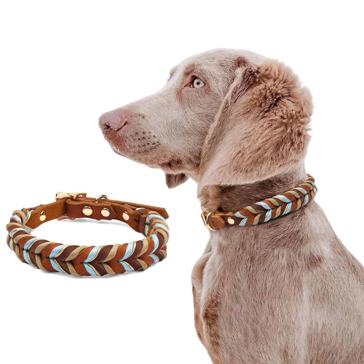 Genuine Leather Collar For Strong And Durable Puppy Medium Large Dogs Fashion Braided Colorful Nylon Rope Dog Collar New Arrival
