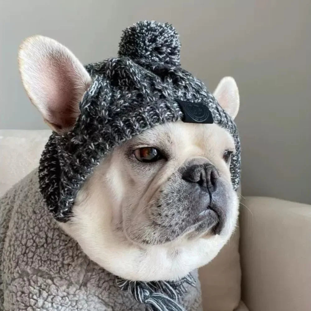Winter Warm Dog Hats Windproof Knitting French Bulldog Hat Chihuahua Fluffy Ball Pet Hat Four Season Universal Puppy Accessories