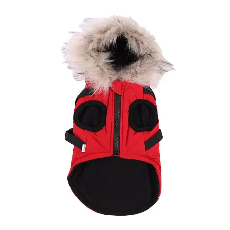 Winter Pet Dog Jacket With Harness Warm Dog Clothes Waterproof Hooded Coat for Small Medium Dogs Chihuahua French Bulldog Outfit