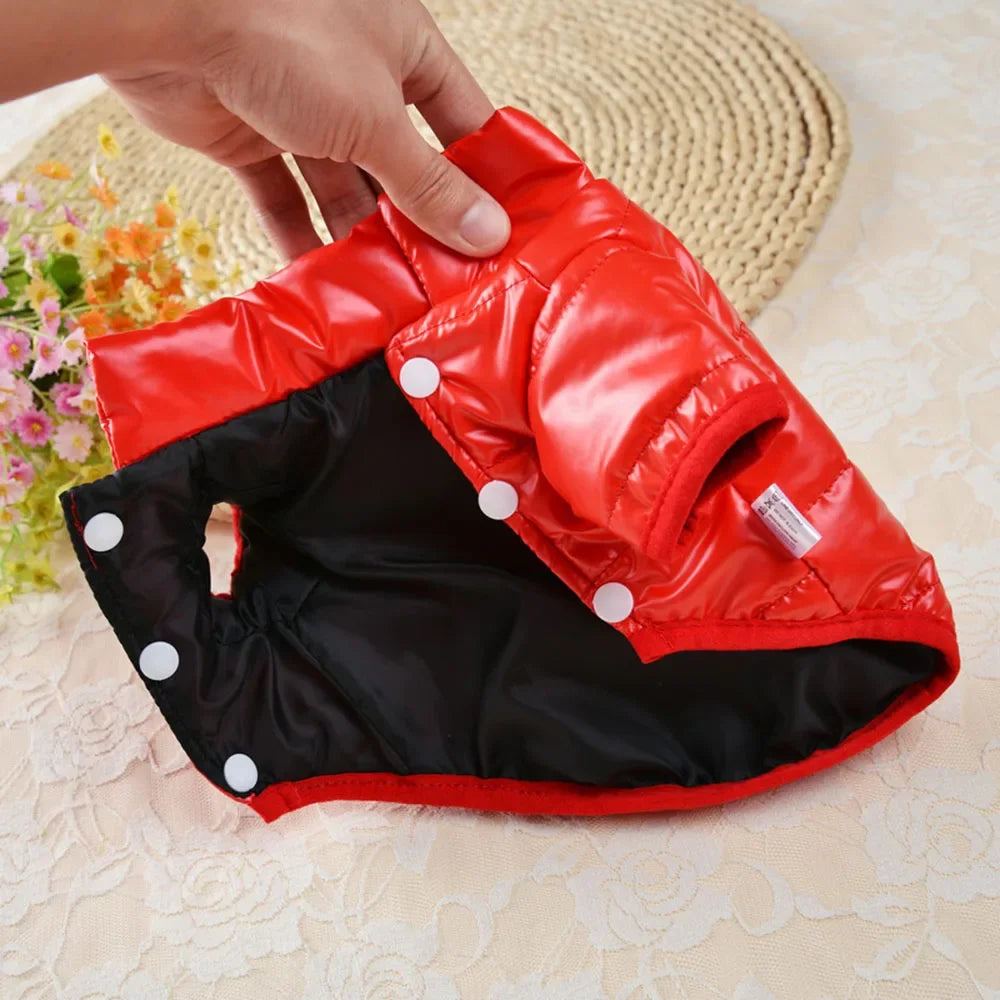 Puppy Pet Dog Clothes Outdoor Windproof Waterproof Leather Dog Coat Winter Warm Padded Jacket for Dogs and Cats in Cold Weather