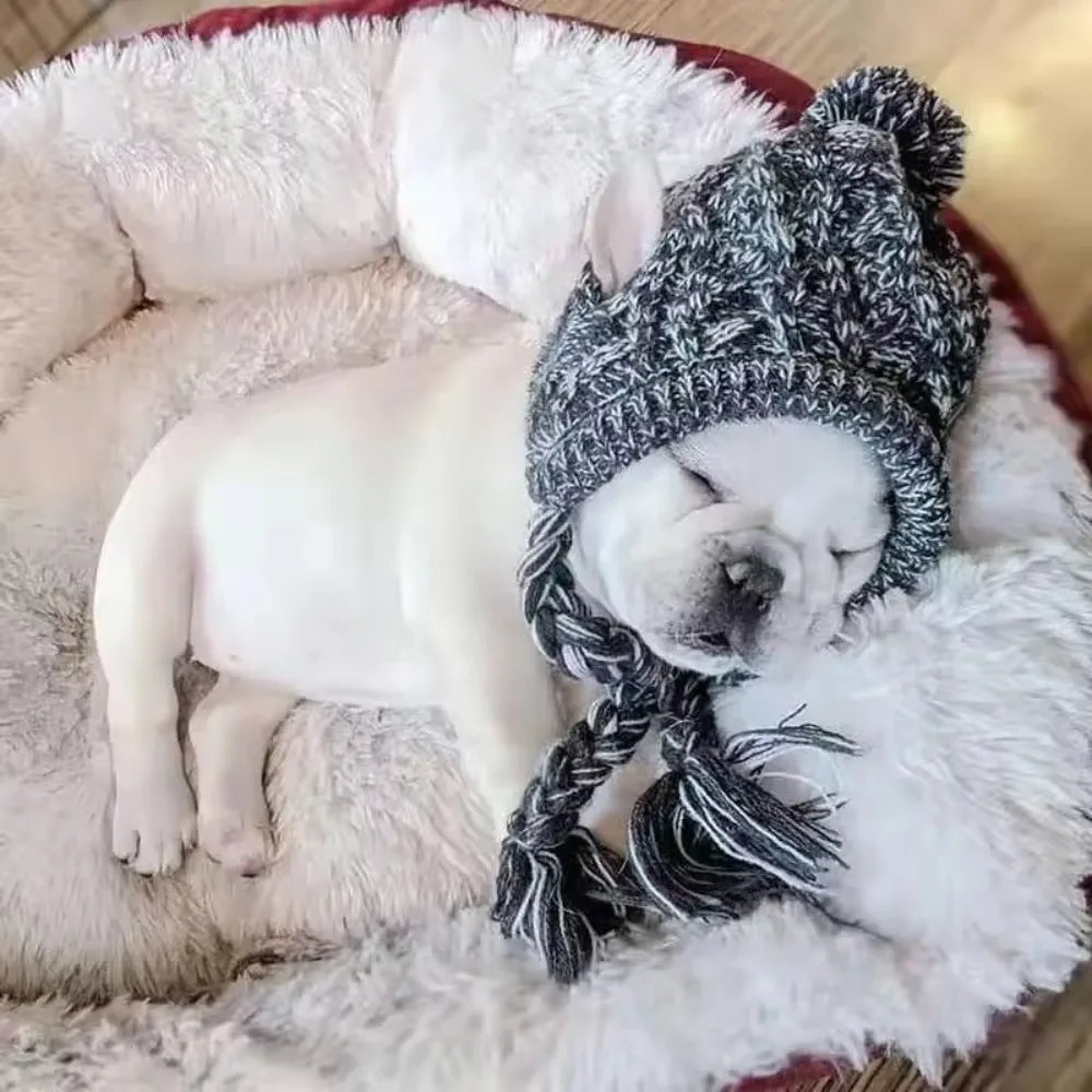 Winter Warm Dog Hats Windproof Knitting French Bulldog Hat Chihuahua Fluffy Ball Pet Hat Four Season Universal Puppy Accessories