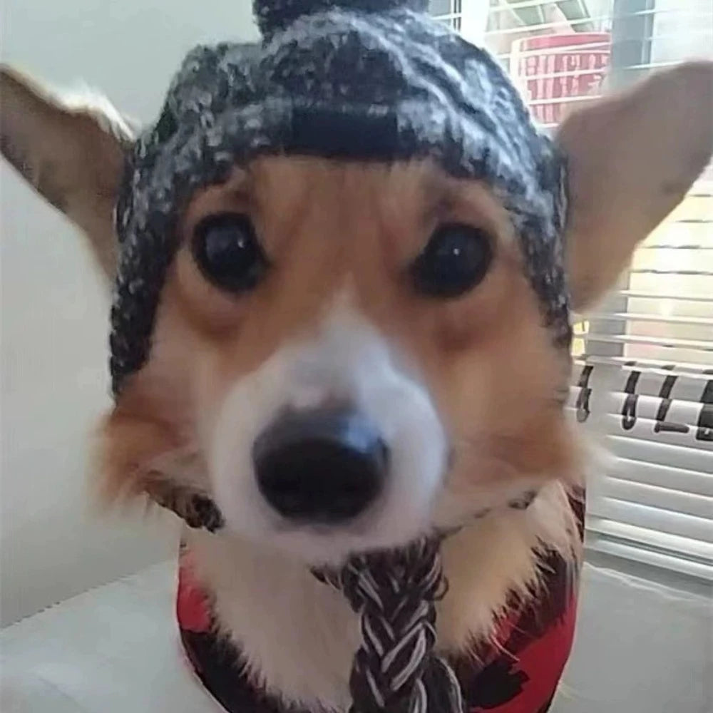 Winter Warm Dog Hats Windproof Knitting French Bulldog Hat Chihuahua Fluffy Ball Pet Hat Four Season Universal Puppy Accessories