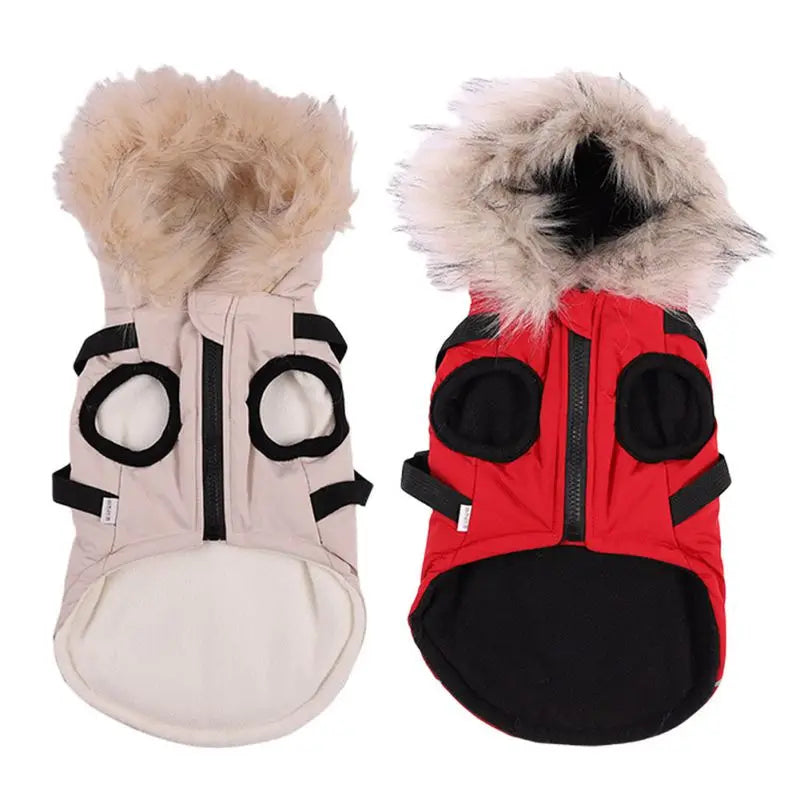 Winter Pet Dog Jacket With Harness Warm Dog Clothes Waterproof Hooded Coat for Small Medium Dogs Chihuahua French Bulldog Outfit