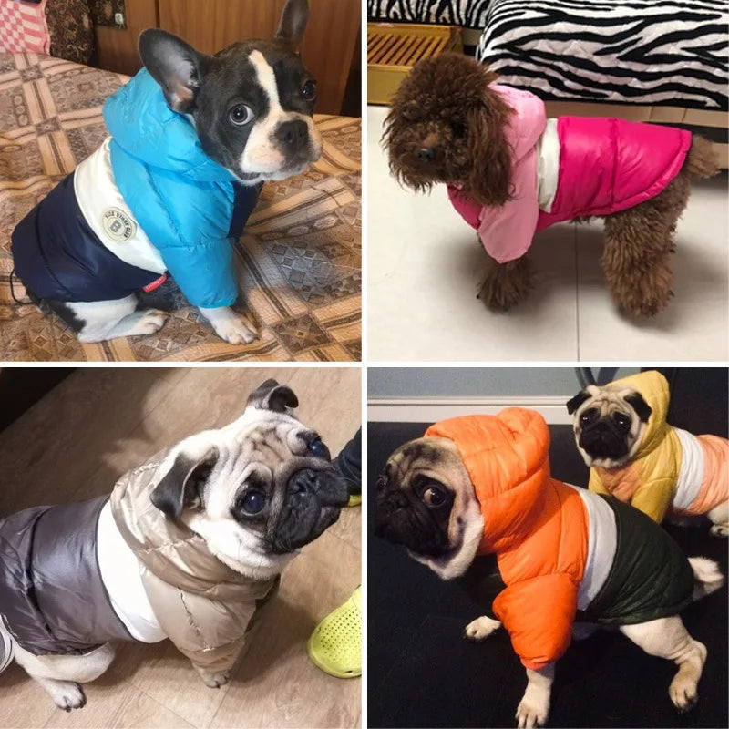 Waterproof Dog Jacket Winter Pet Down Cotton Vest Luxury Dog Clothes Chihuahua French Bulldog Dog Coat Puppy Warm Dog Costume
