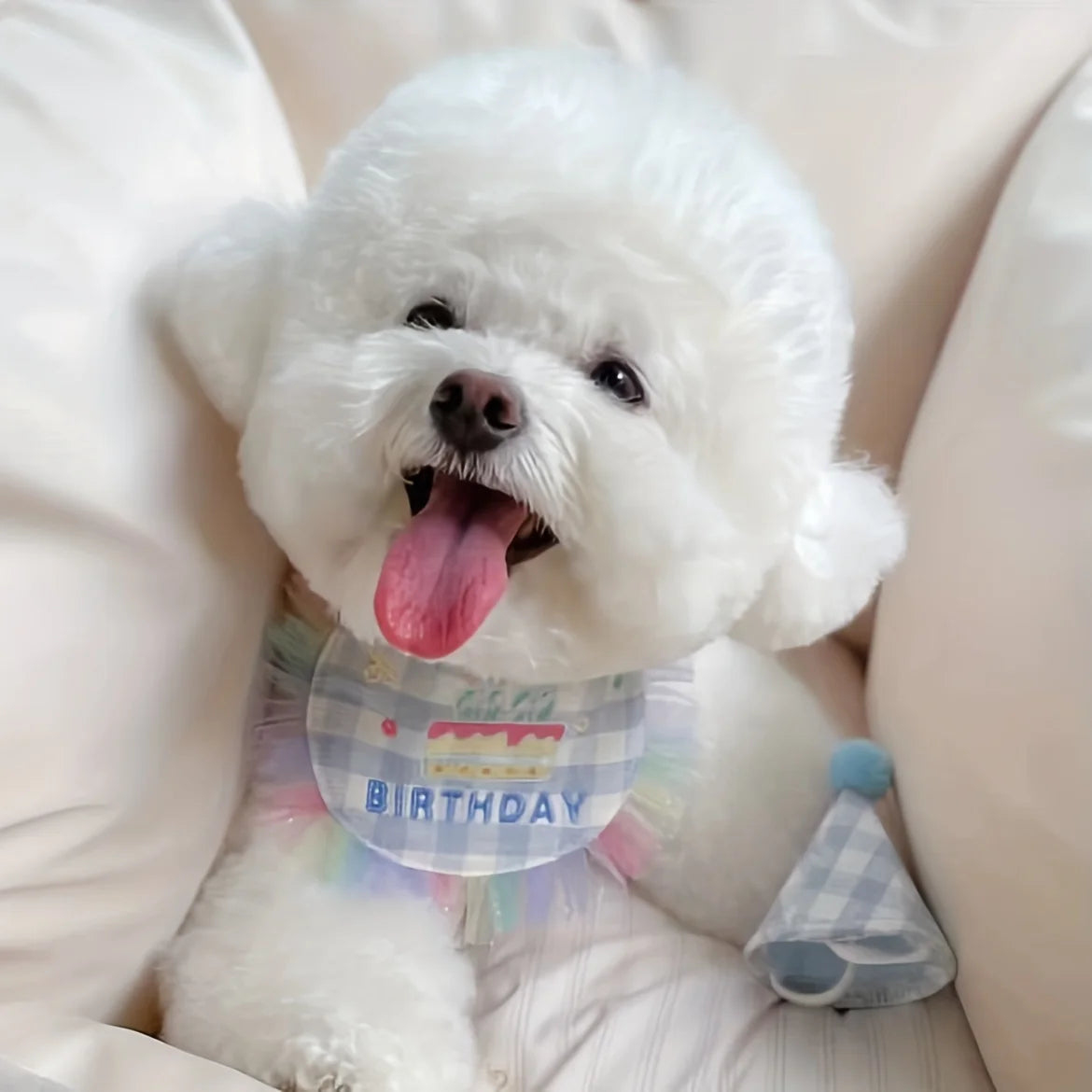 Dog & Cat Birthday Hat and Bandana Set – Cute Pet Birthday Accessories for Party & Photos